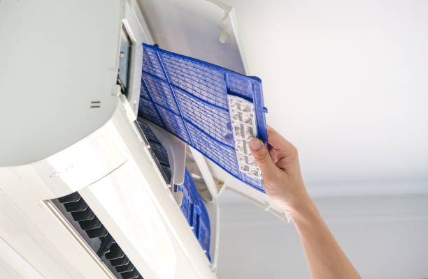 Best Air Duct Mold Removal  in Ennis, TX