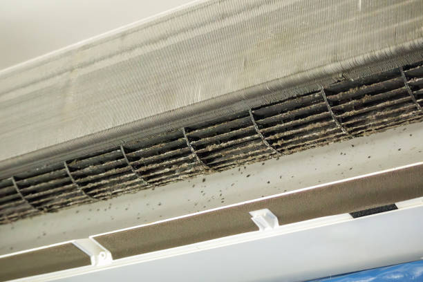 Best HVAC Air Duct Cleaning  in Ennis, TX